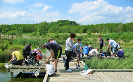 Pond dipping 