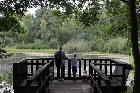 Mere Sands Wood by Alan Wright