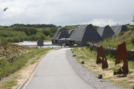 Brockholes