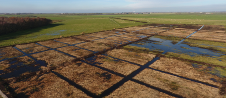 An aerial view of the Winmarleigh carbon farm