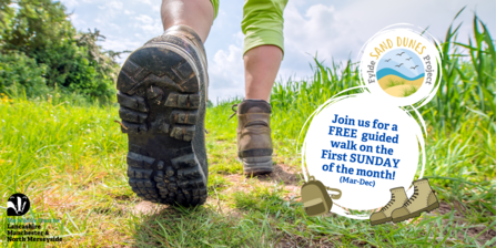 Fylde Sand Dunes Guided Walk