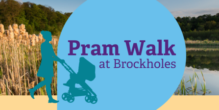 Pram Walk