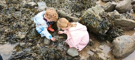 Rockpool Ramble at Half Moon Bay