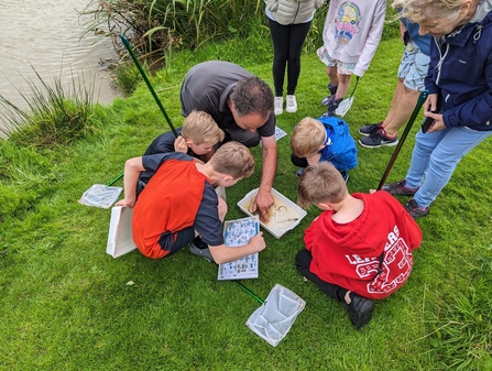 Pond dipping at Mos Wood Caravan Park