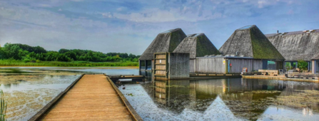 A view of Brockholes from the boardwalk