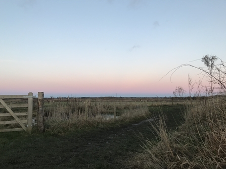 Lunt meadows sunset Photo by Charlotte Castle