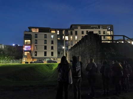 Group of people in the dark using bat detectors