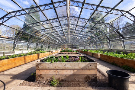 Greenhouse Project planters. March 24 by Alex Critchley