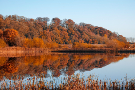 Autumn Reflections