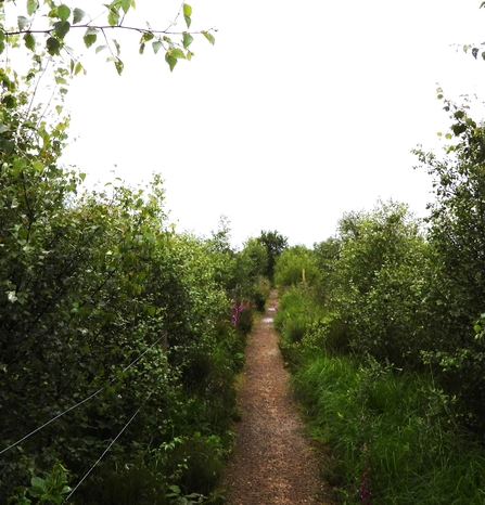 Little Woolden Moss by Dave Steel