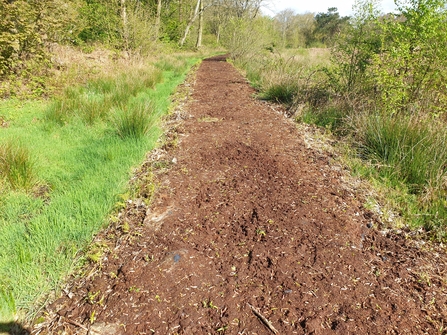 New bare earth path at Heysham Moss