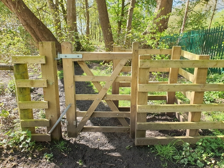 New wooden kissing gate at Heysham Moss