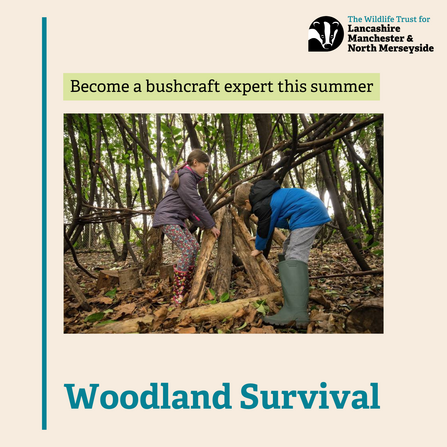 Woodland Survival 