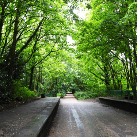 Old Roe Green Loop line by Dave Steel