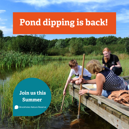 Pond dipping at Brockholes 