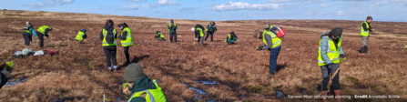 Sphagnum moss planting on Darwen Moor