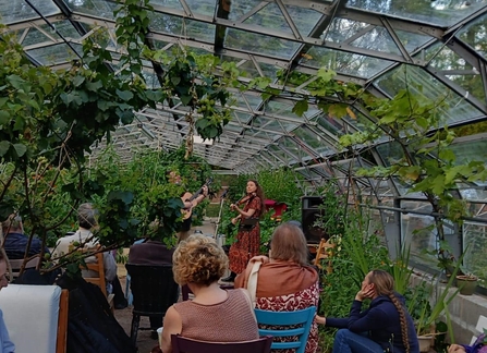 A fiddle player in a greenhouse