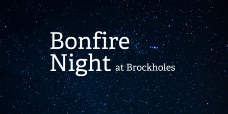 Bonfire Night at Brockholes 