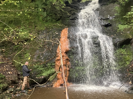 Waterfall tumbling over grey rocks surrounded by green trees