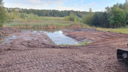 Newly reprofiled lake edge at Brockholes