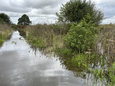 A very flooded path at Lunt Meadows