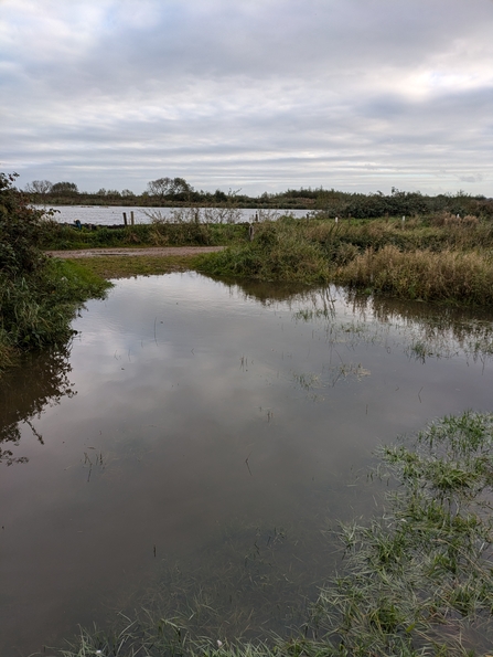 A flooded path under deep water on Lunt Meadows nature reserve