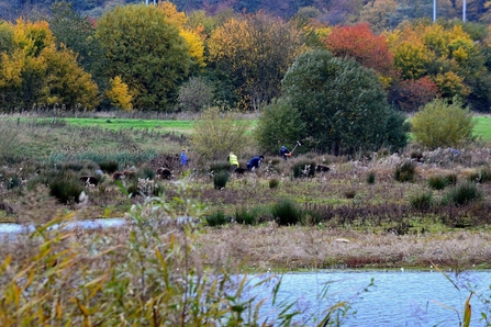 Volunteers clearing scrub on the lake edge