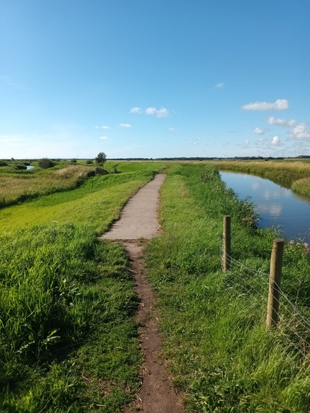 a spillway at Lunt Meadows next to the river Alt in sunny weather