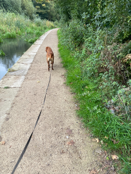 Rory walking Cooper along a canal surrounded by wildlife