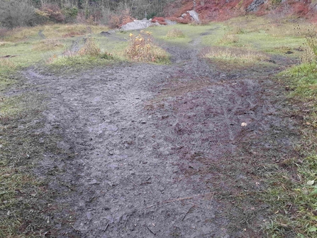 Damage to Cross Hill Quarry by Kim Coverdale