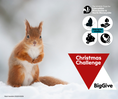 The Big Give Christmas Challenge