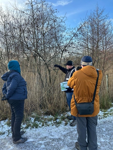 A winter walk at Brockholes