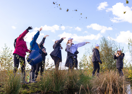 Volunteers throwing sphagnum moss on Little Woolden Moss