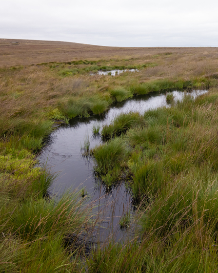 Bunding area on the Lord's Hall Estate, Darwen Moor