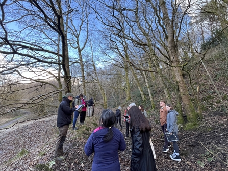 A group of volunteers stood in a woodland