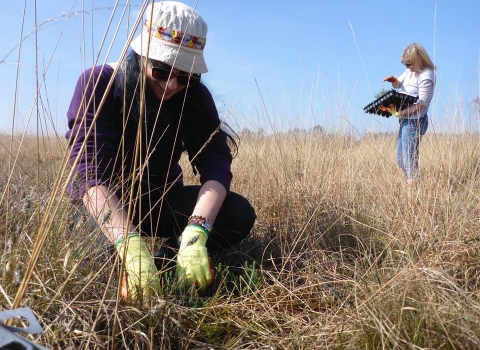 Volunteers in the Carbon Landscape