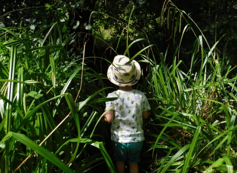 The Hive - Nature Tots 