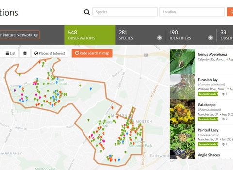iNaturalist map showing the public records for the North Manchester Nature Network so far