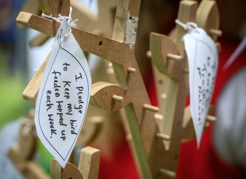 MFON Youth Council pledge tree