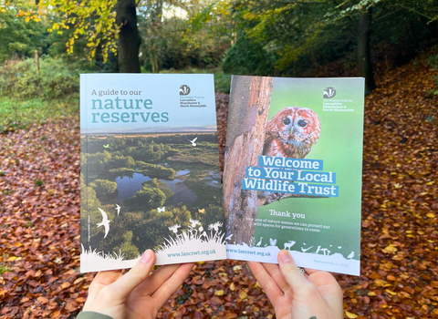 Become a Member | Lancashire Wildlife Trust