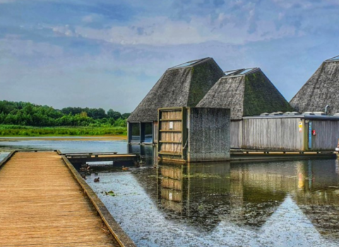 A view of Brockholes from the boardwalk