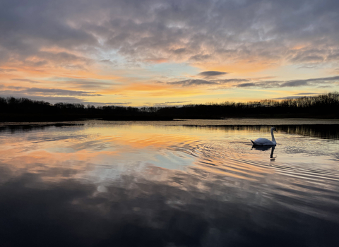 Brockholes 