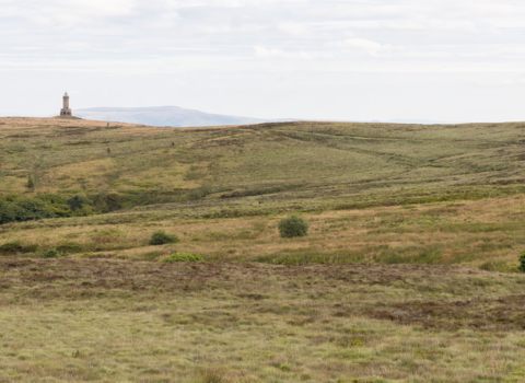 Jubilee Tower on Darwen Moor