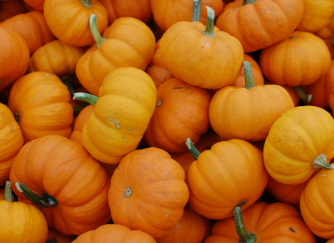 Pumpkins