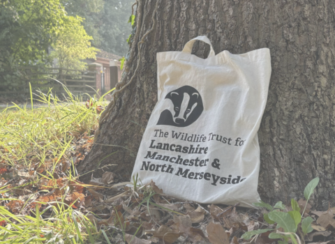 A Lancashire Wildlife Trust tote bag resting against a tree