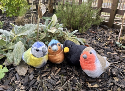 cuddly toy birds in a sensory garden